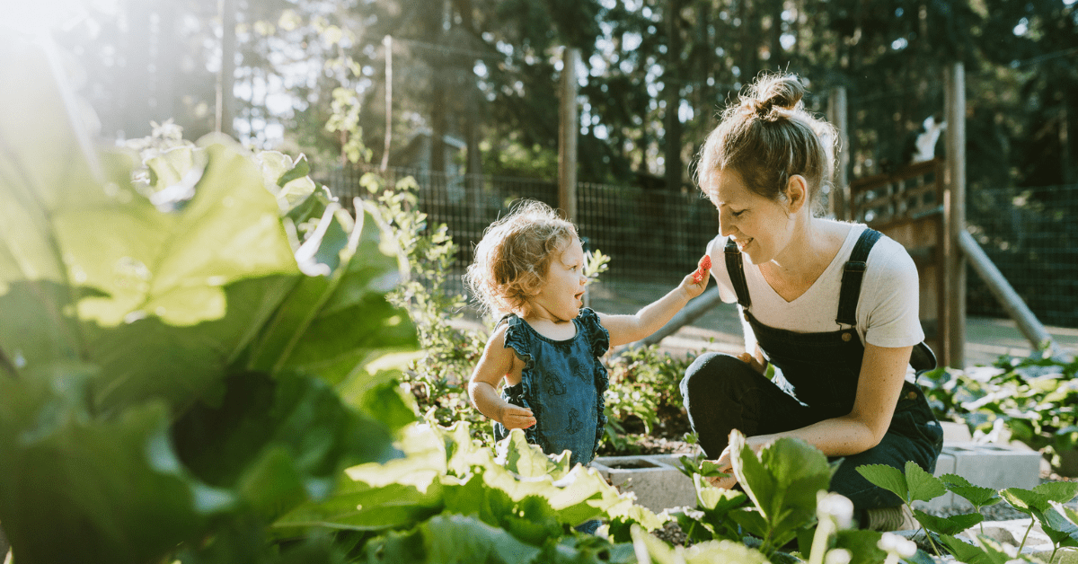 A Mom's Guide to Gardening on a Budget