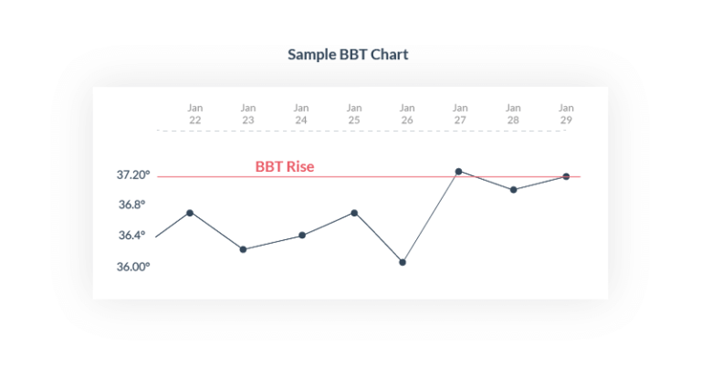 The Science Behind Basal Body Temperature (BBT) Tracking - MTS