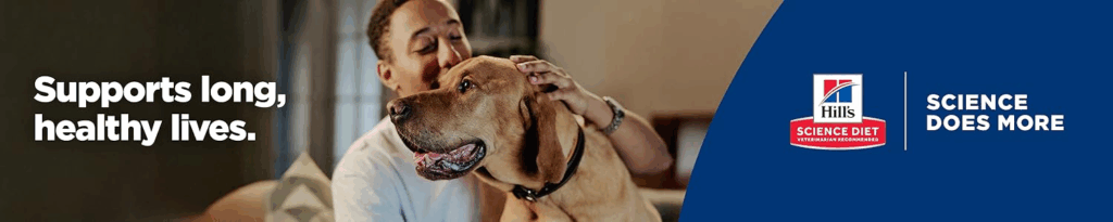 Stop Feeding Your Dog Chicken—Here’s What Protein Vets Actually Recommend Uncategorized