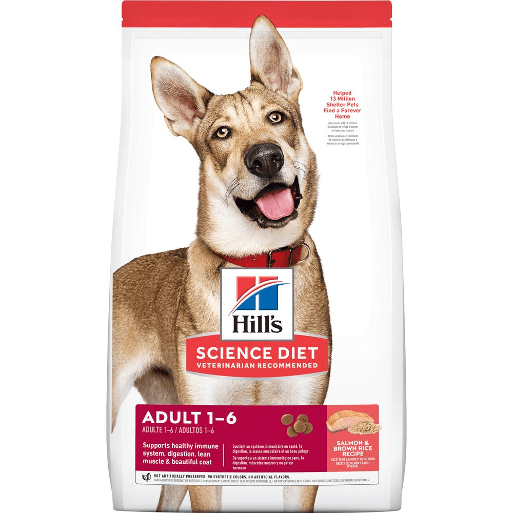 Stop Feeding Your Dog Chicken—Here’s What Protein Vets Actually Recommend Uncategorized