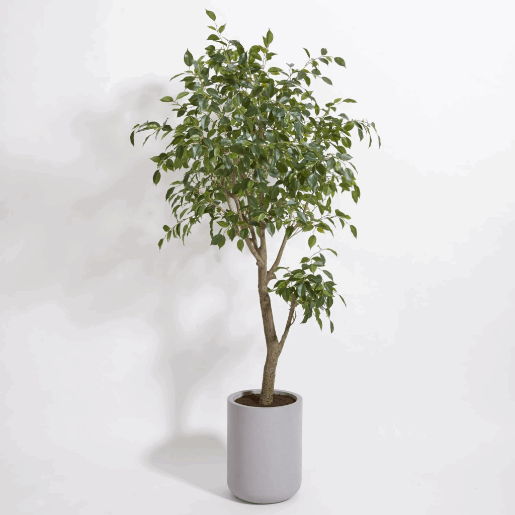 The Best Faux Indoor Plants That Look So Real, No One Will Know Home & Décor
