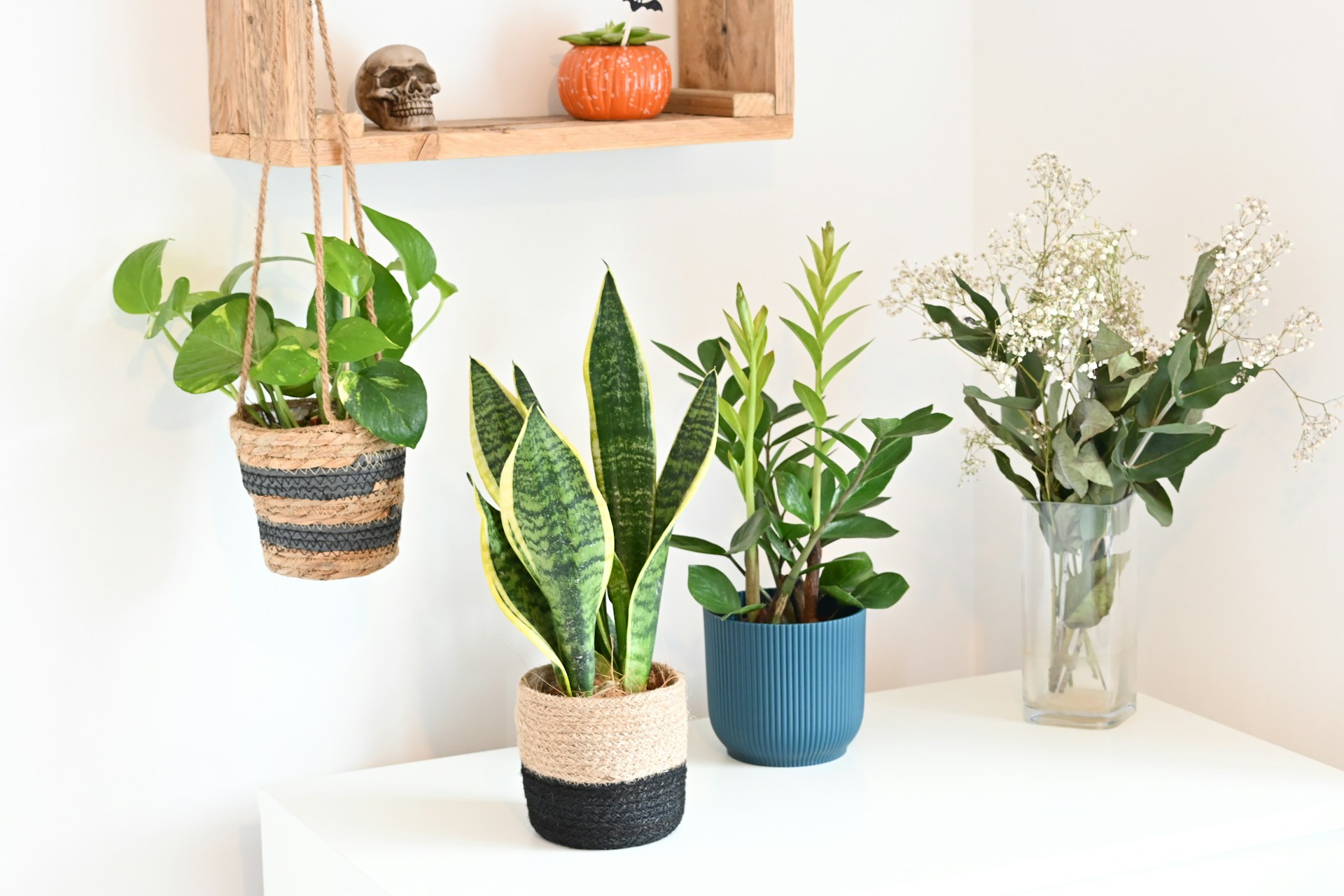 The Best Faux Indoor Plants That Look So Real, No One Will Know Fashion