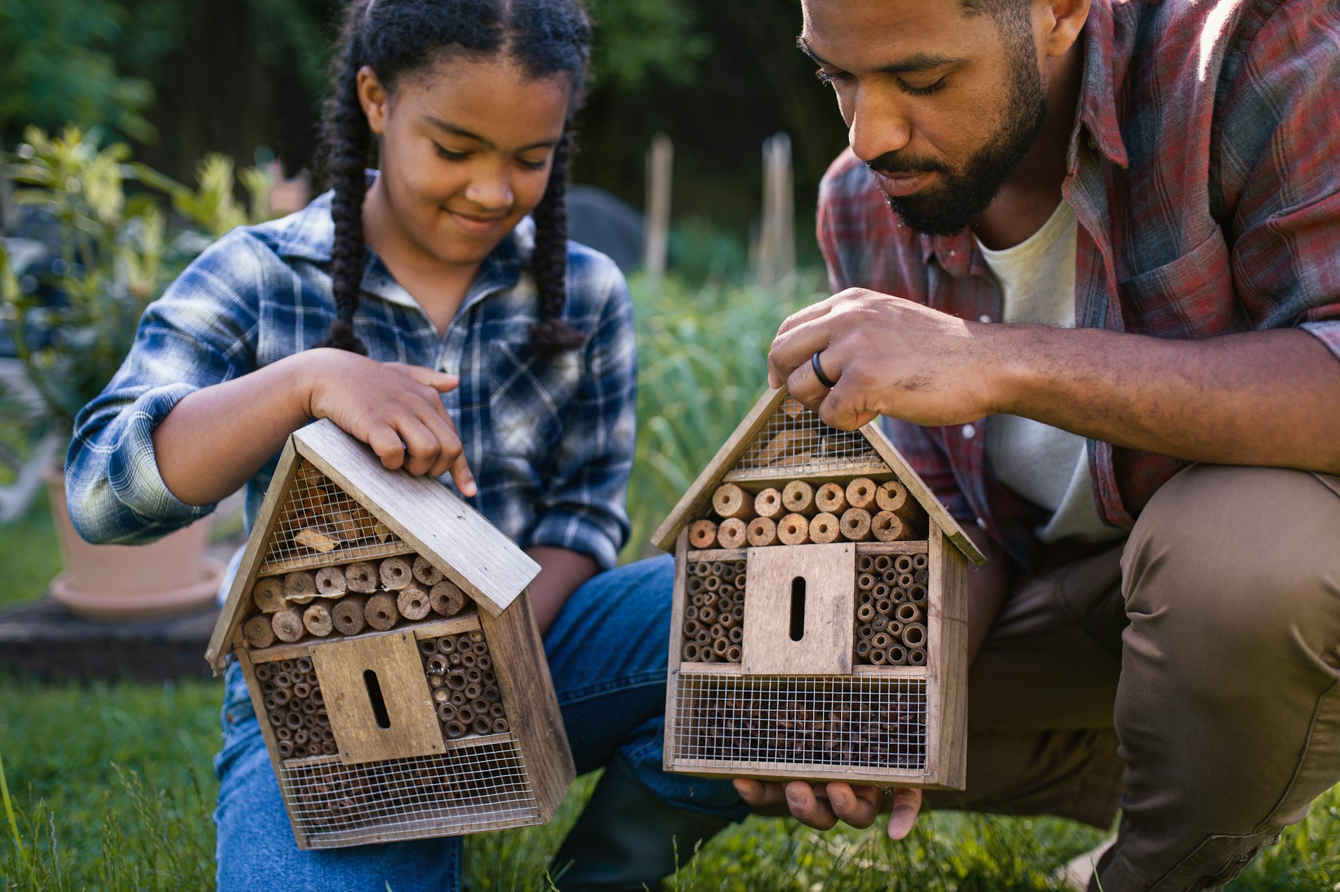 Keep Bugs Out and Your Family Safe with This Natural Solution Business
