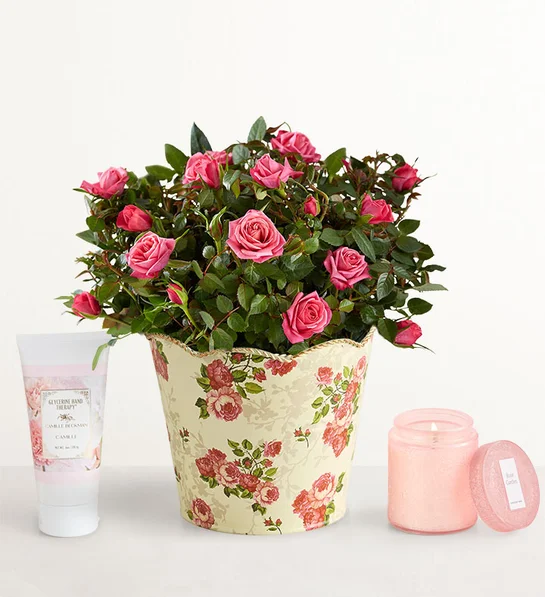 Summer Essentials That Make Warm-Weather Plans Easier Food and Cooking, Home & Décor, Relationships