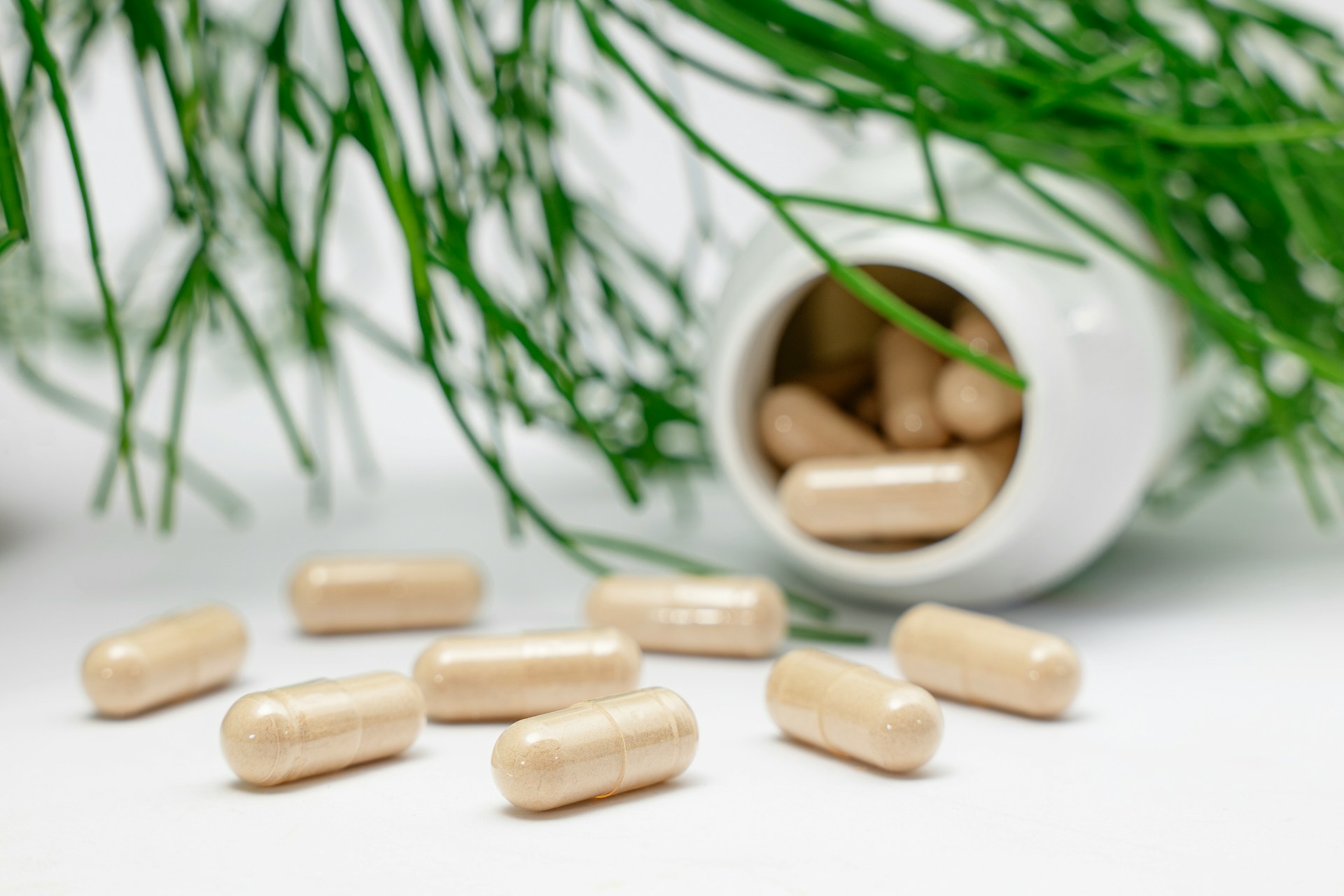 Why Is Berberine Being Called “Nature’s Ozempic”? Food and Cooking, Home & Décor, Relationships