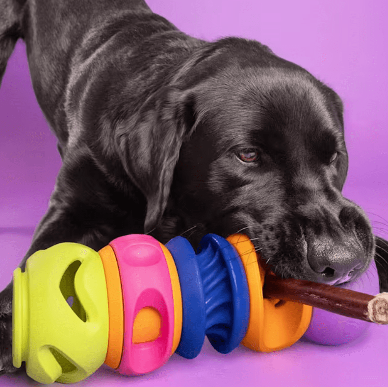 Beat the Fireworks Blues with Enrichment for Every Pet 3 Beat the Fireworks Blues with Enrichment for Every Pet Pets