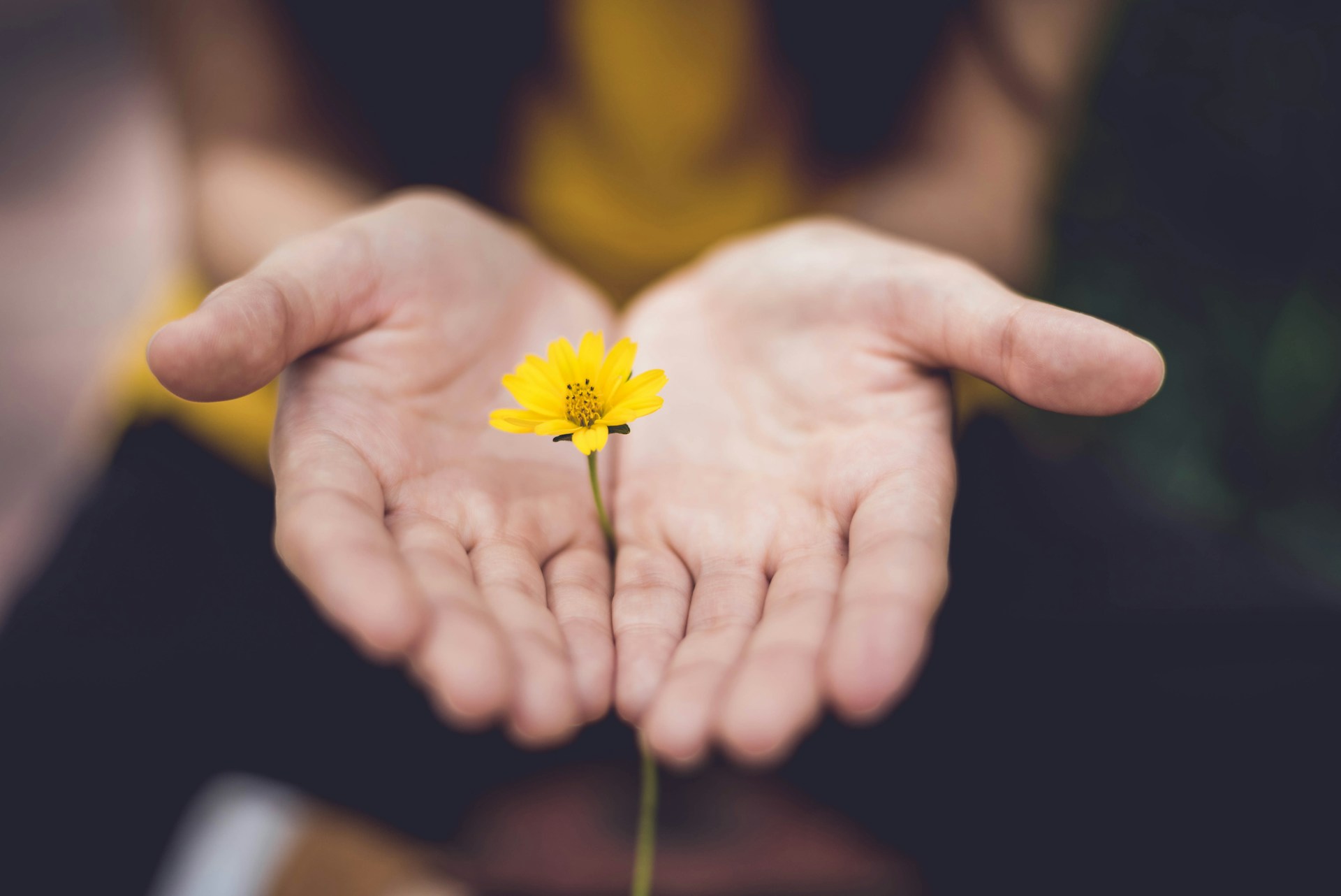 How to Make Daily Tasks Easier When Your Hands Feel Stiff Food and Cooking, Home & Décor, Relationships