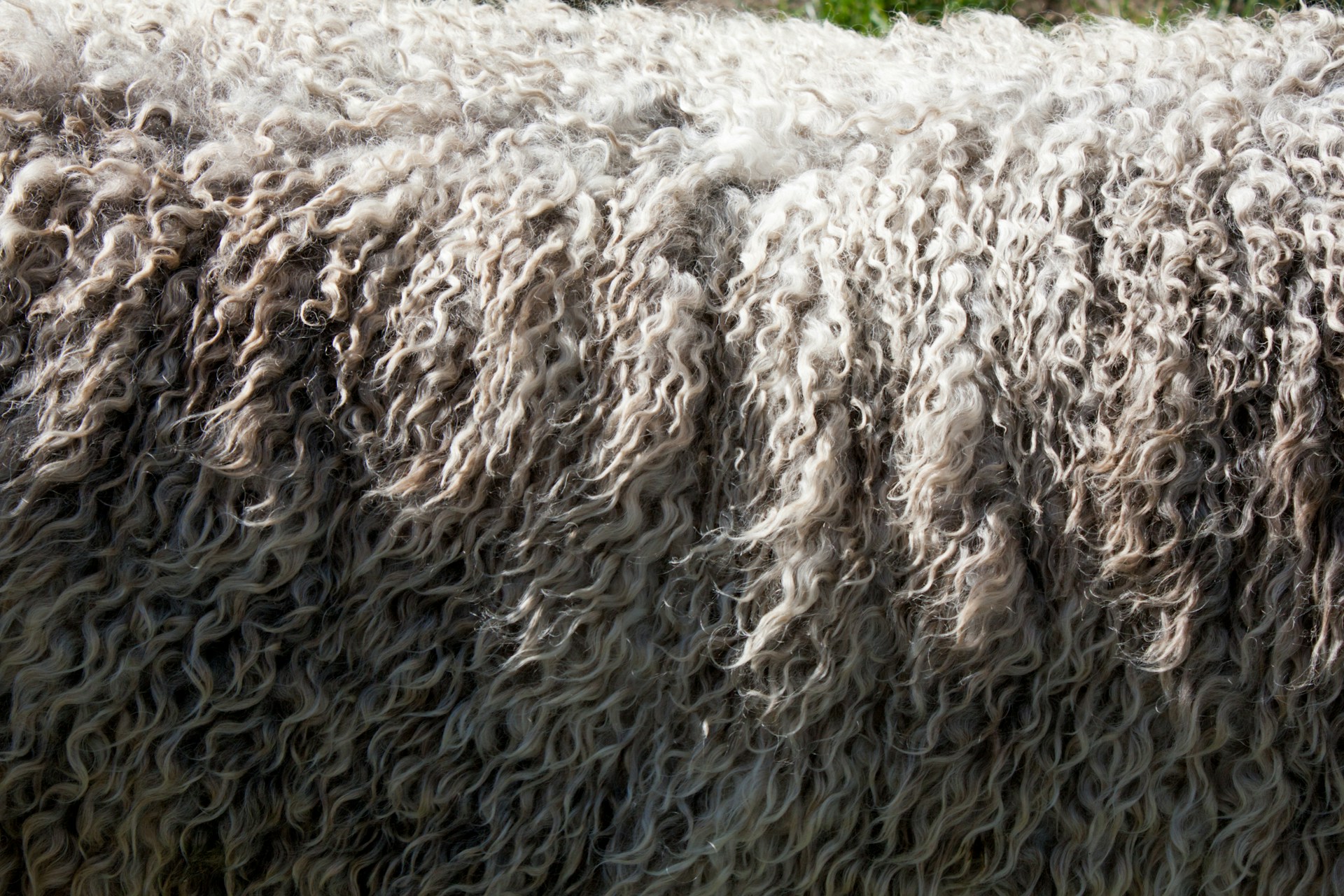 What Makes Merino Wool So Good for Cold Weather? Home & Décor