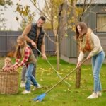 Why a Battery-Powered Leaf Blower Is Worth Having Home & Décor