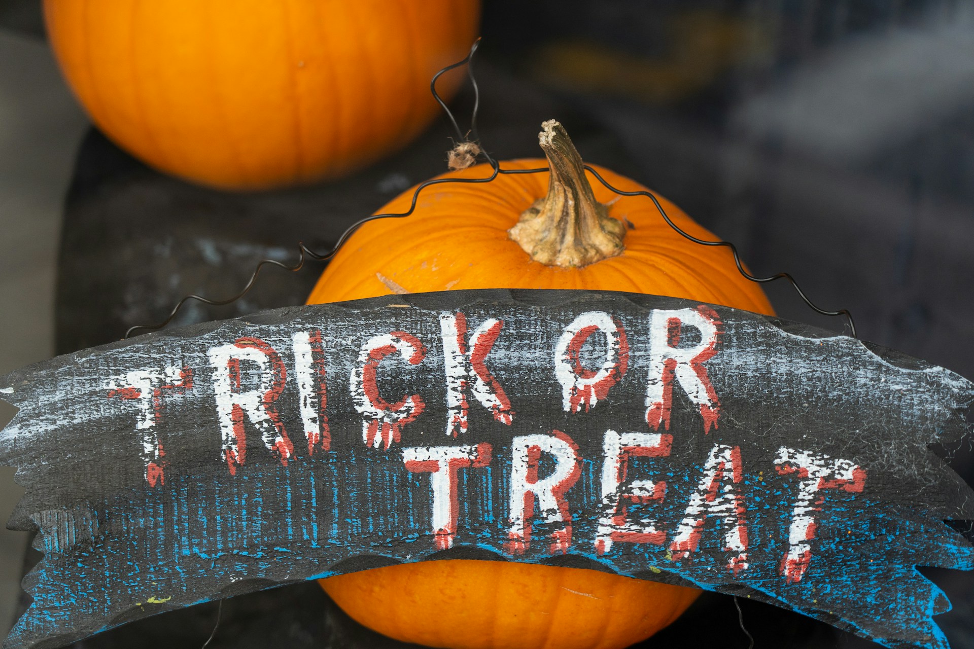 The Best Places to Shop to Get Your Halloween On Home & Décor